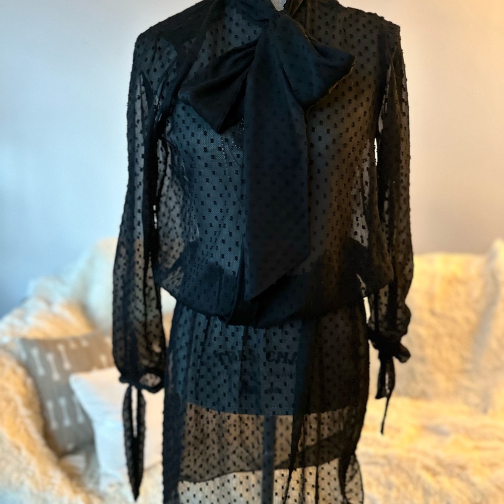 Swildens Silk Sheer Drop Waist Dress